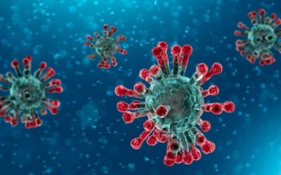 Corona Virus – Update