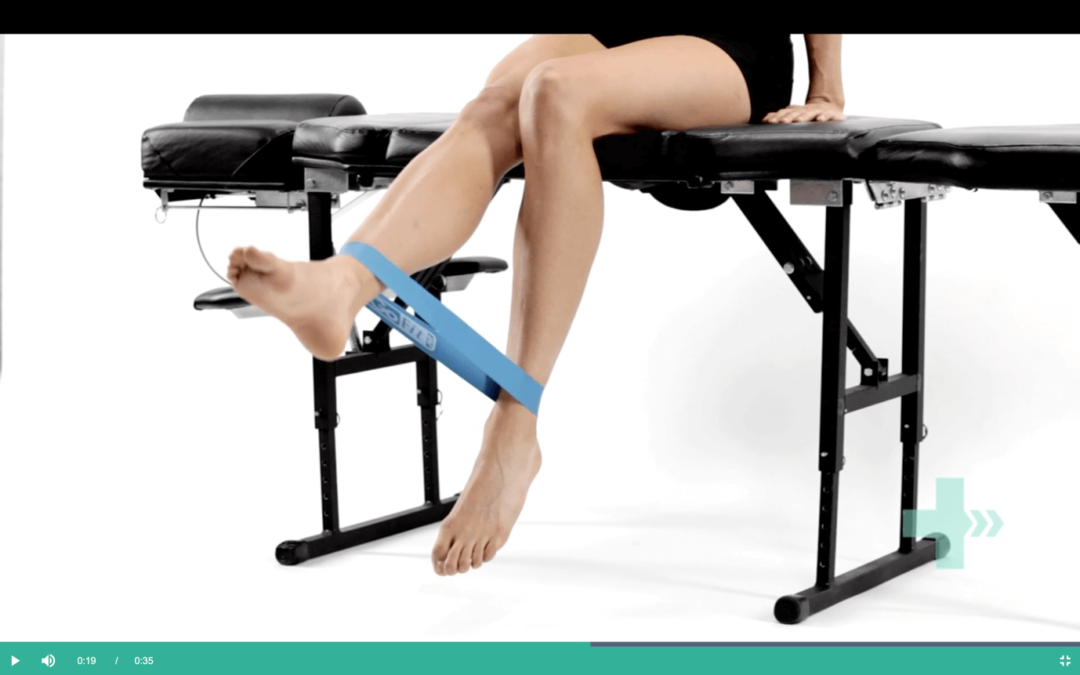 Strength and conditioning for runners -Beginner exercises