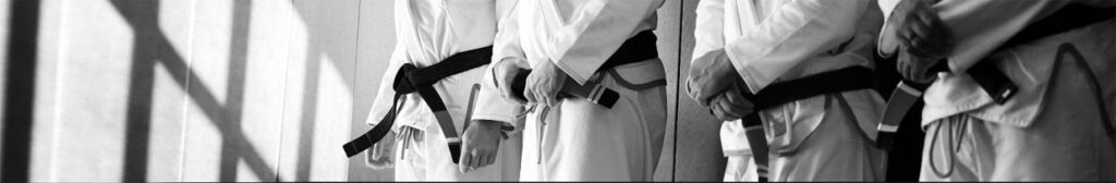 bjj 3